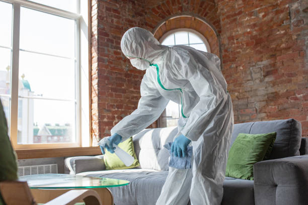 Best Mold Prevention Services  in Plentywood, MT